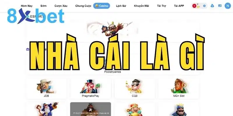 Nhà cái là gì? Thông tin chi tiết về giải trí trực tuyến 8 Nhà cái là gì?